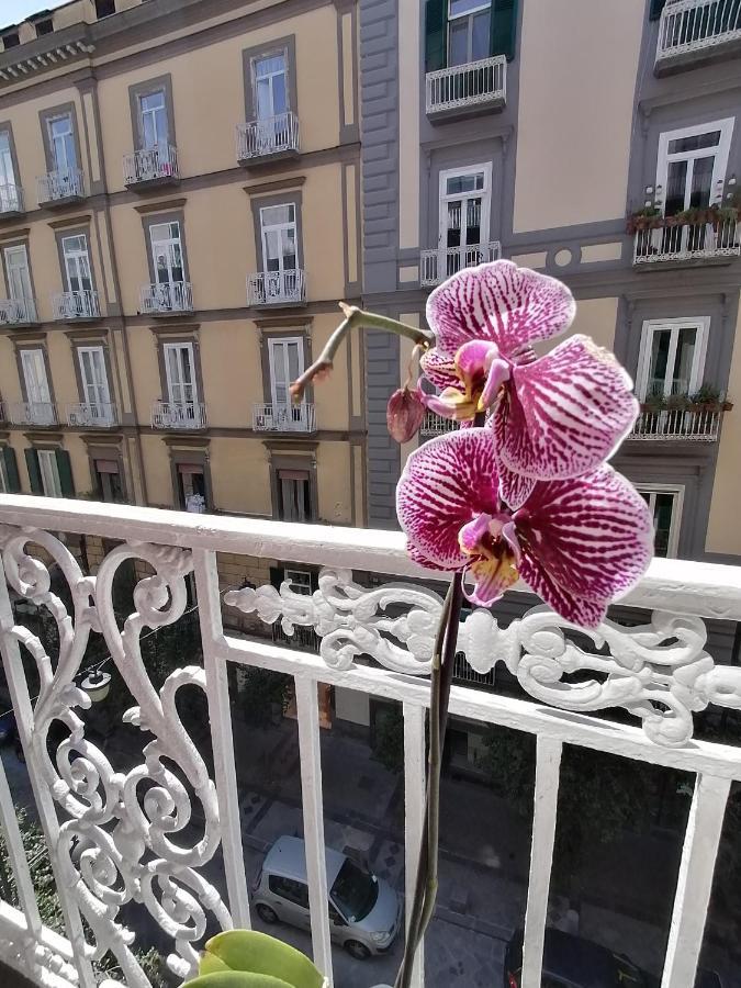 B&B Una Finestra Sul Duomo Naples Exterior photo